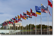 B2B Lead Generation, B2B Appointment Setting into government